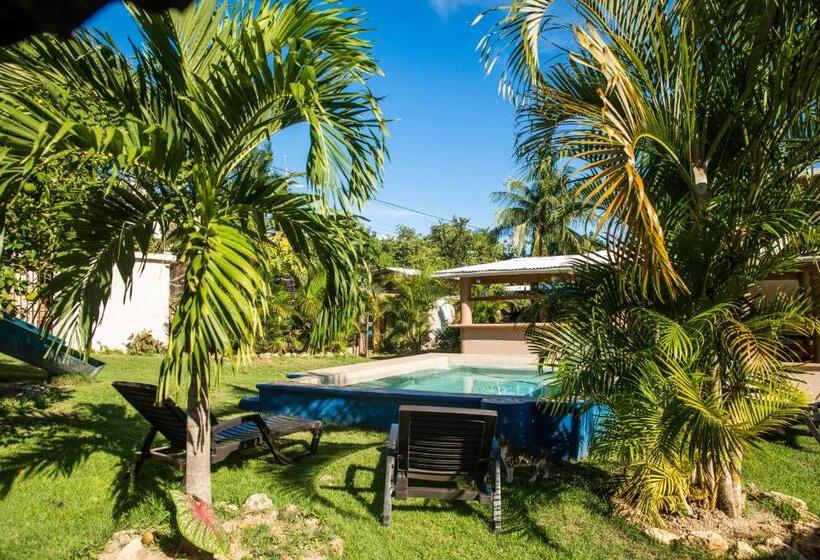 پانسیون Gipsy Ranch Rooms