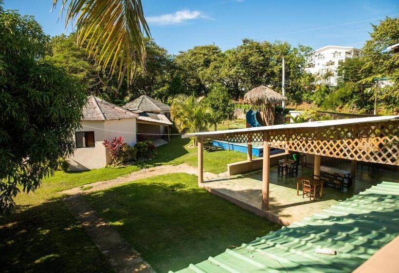 پانسیون Gipsy Ranch Rooms