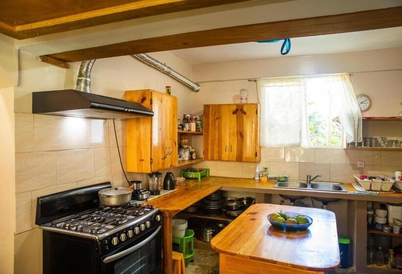 پانسیون Gipsy Ranch Rooms