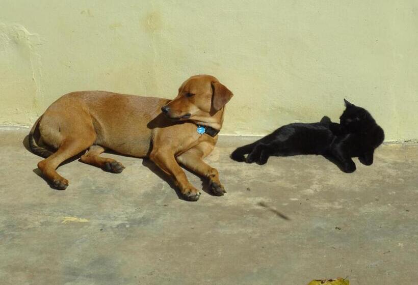 پانسیون Gipsy Ranch Rooms