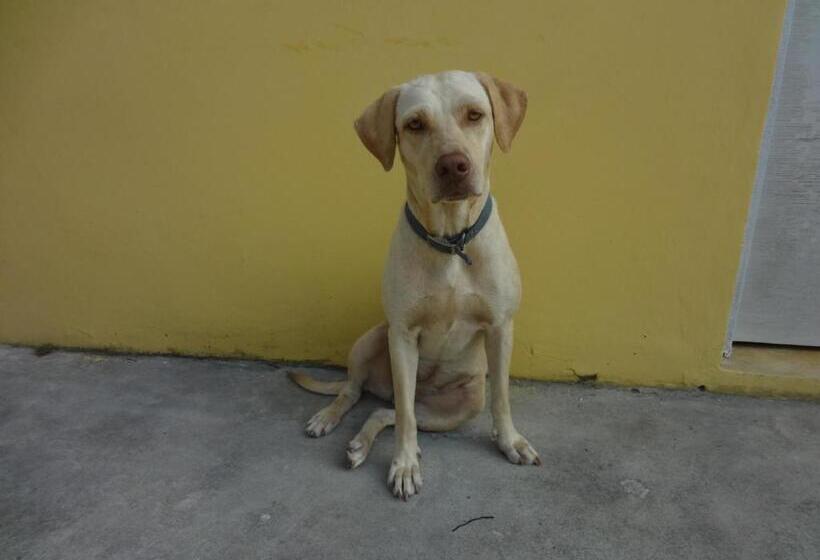 پانسیون Gipsy Ranch Rooms