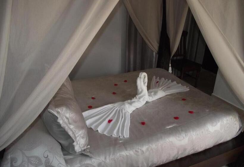 פנסיון Hostal El Canario