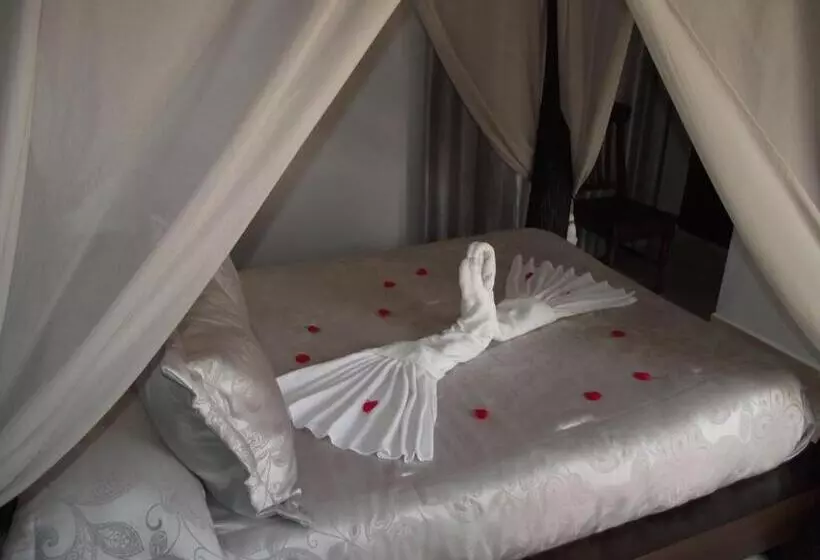 Majatalo Hostal El Canario