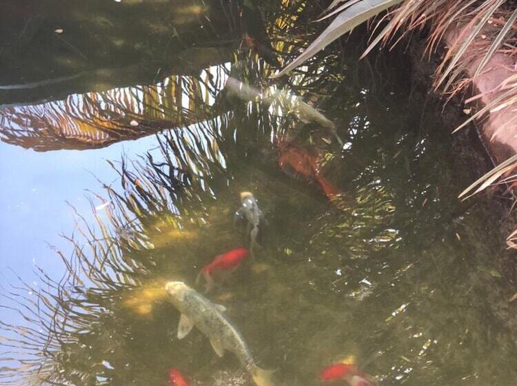 پانسیون Pousada Aldeia Das Flores