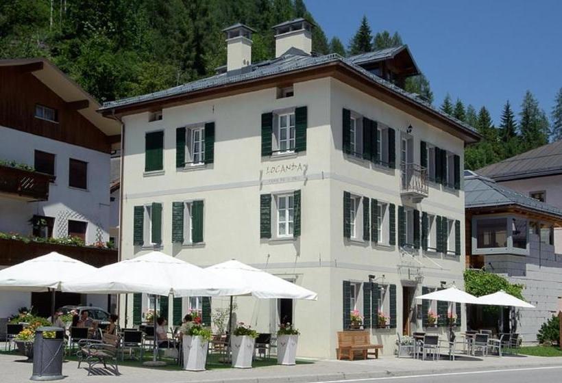 הוסטל Locanda Tana De 'l Ors