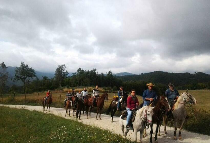 호텔 Agriturismo Il Casale Del Barone
