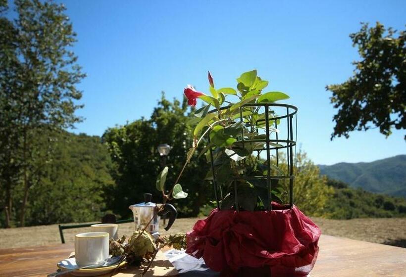 호텔 Agriturismo Il Casale Del Barone