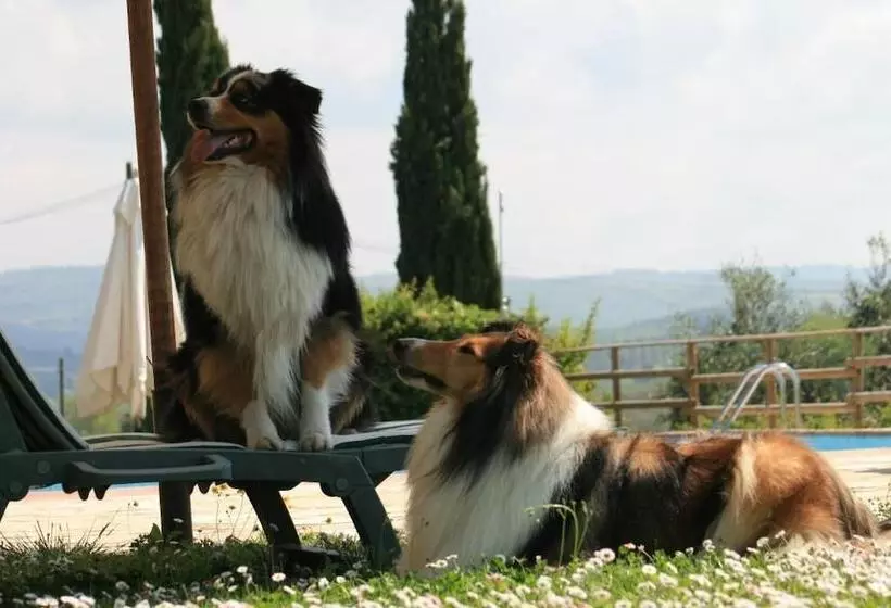 ホテル Agriturismo Il Torrione