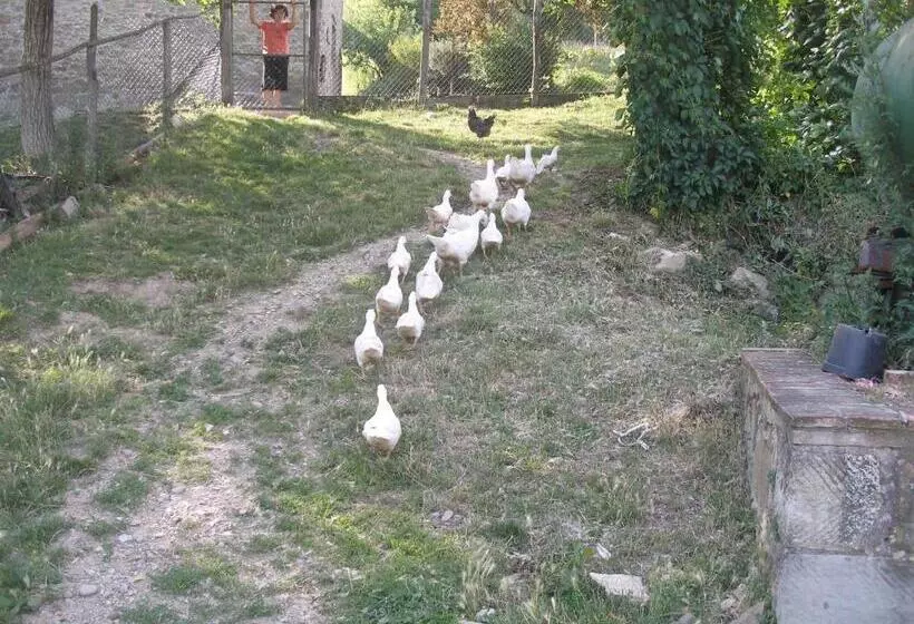 Hotelli Agriturismo Podere Fiume