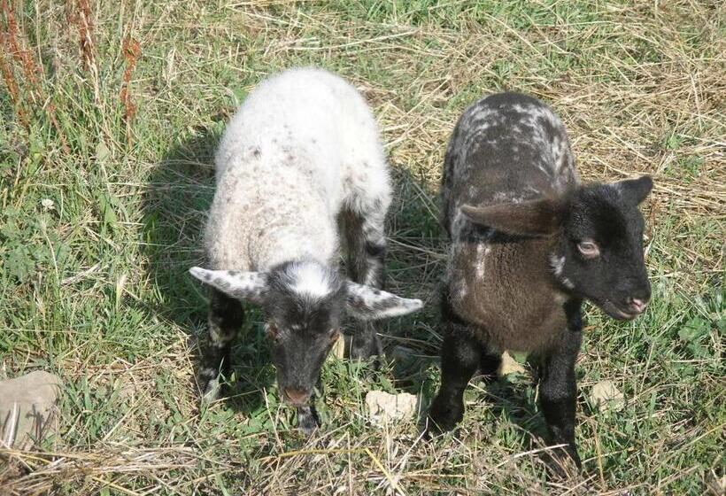 酒店 Agriturismo Podere Fiume