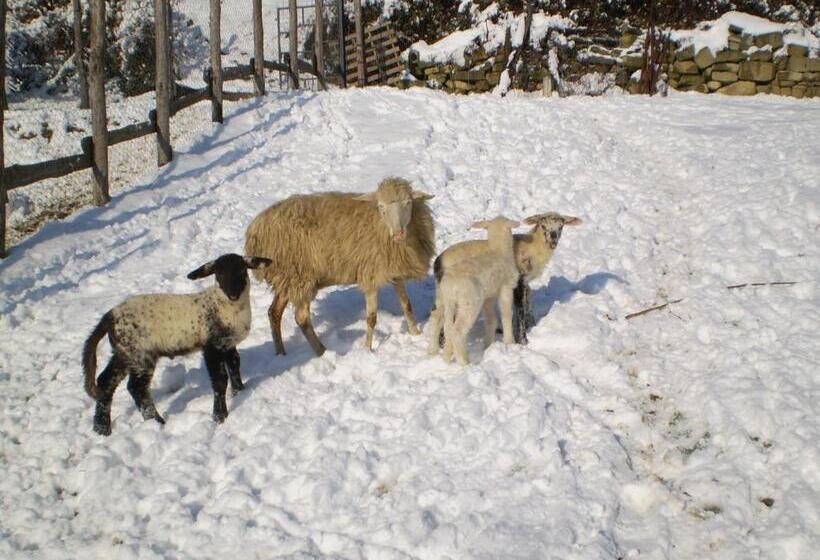 酒店 Agriturismo Podere Fiume