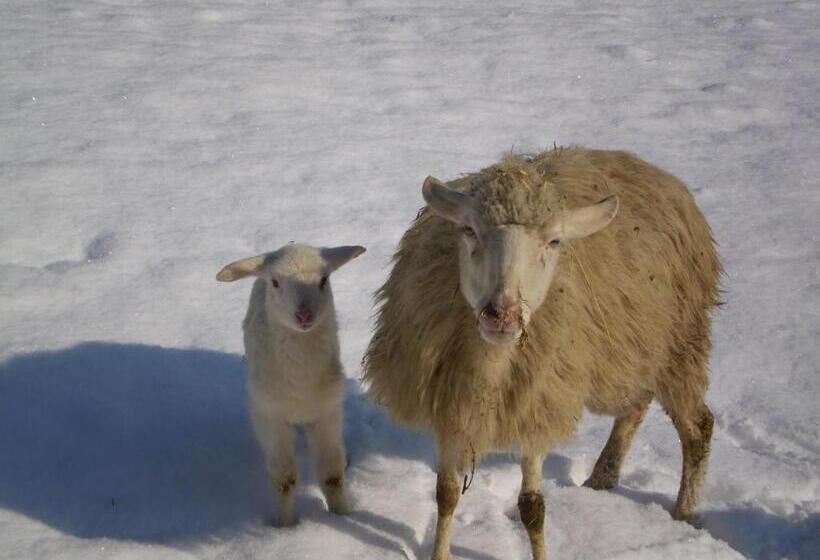 酒店 Agriturismo Podere Fiume