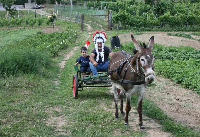 ホテル Agriturismo Podere La Fornace