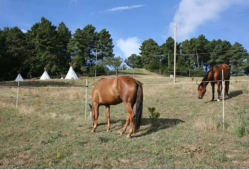 ホテル Agriturismo Podere La Fornace