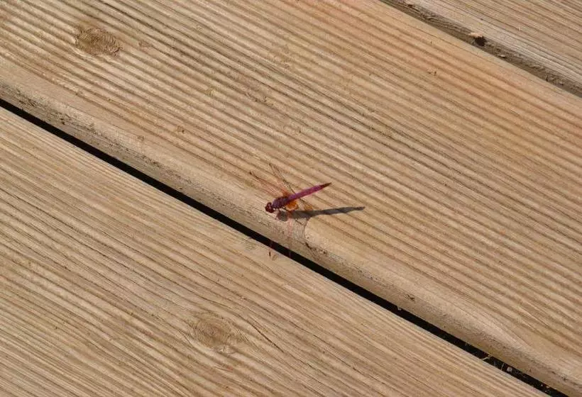 Majatalo Casa De Campo Vale Do Asno