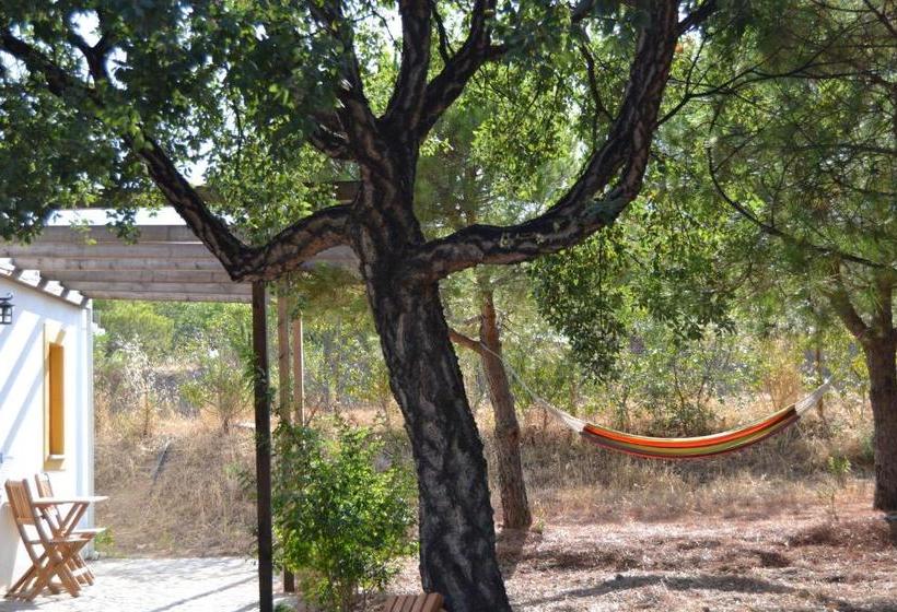 بنسيون Casa De Campo Vale Do Asno