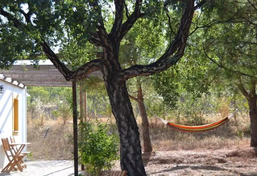 Majatalo Casa De Campo Vale Do Asno