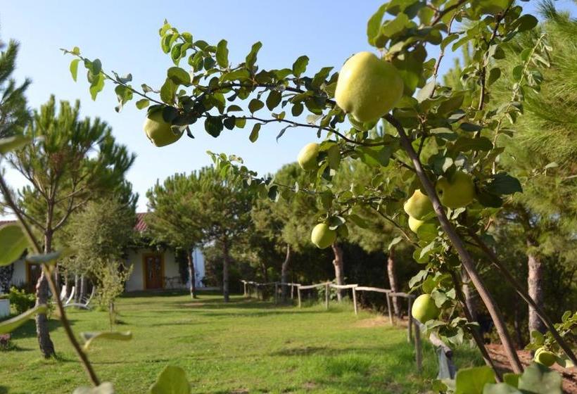 بنسيون Casa De Campo Vale Do Asno