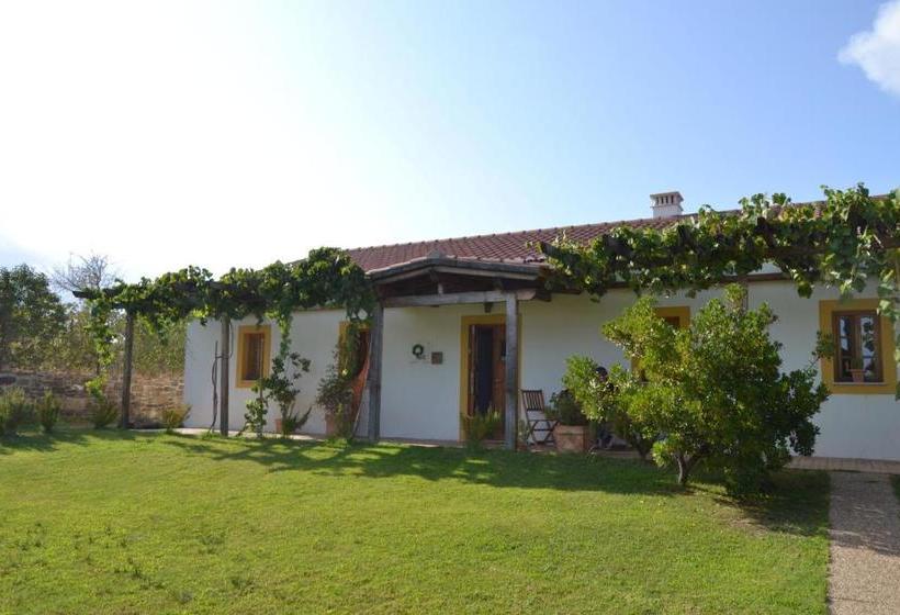 بنسيون Casa De Campo Vale Do Asno
