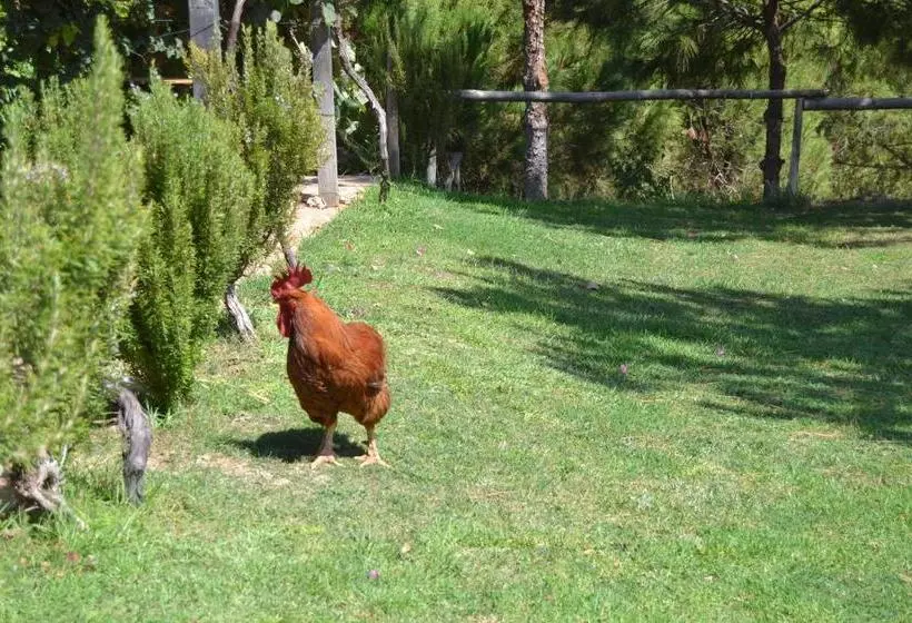 Majatalo Casa De Campo Vale Do Asno
