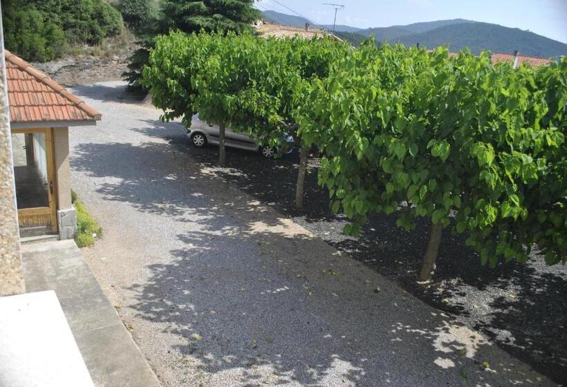 פנסיון Hostal El Violí