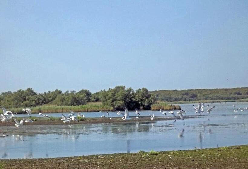 بنسيون La Via Del Volano