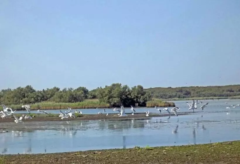 Majatalo La Via Del Volano