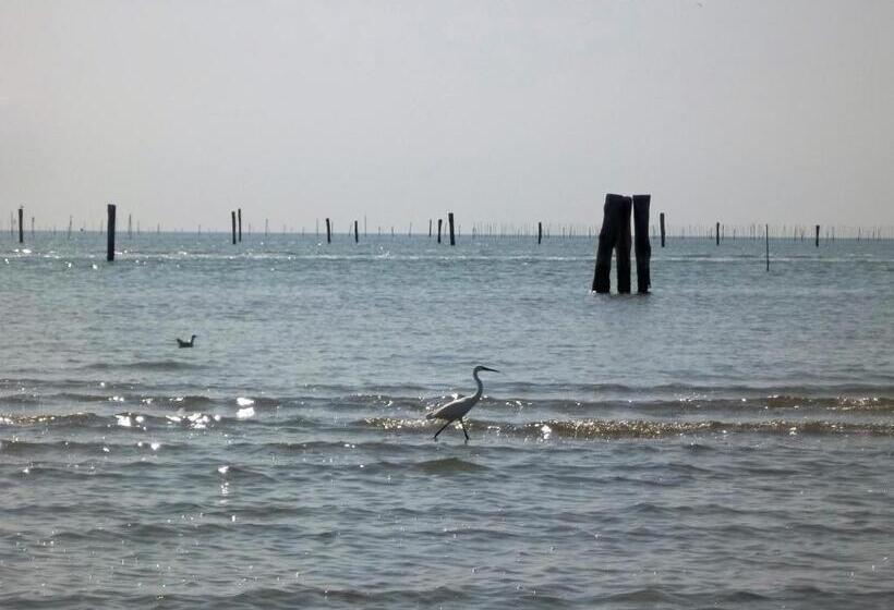 بنسيون La Via Del Volano