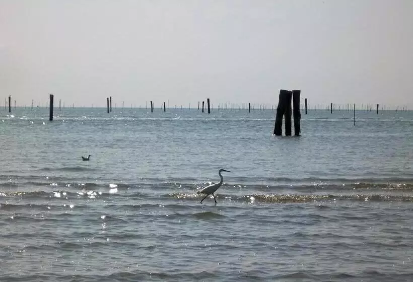 Majatalo La Via Del Volano