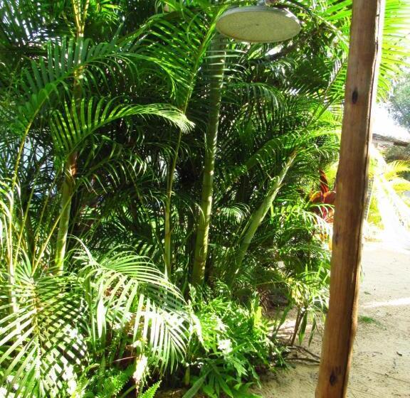 פנסיון Pousada Caraíva