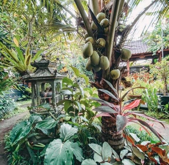 פנסיון Villa Cilinaya Ubud
