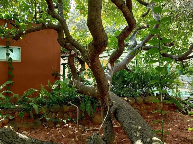 هاستل Inn Pondiville Forest Retreat