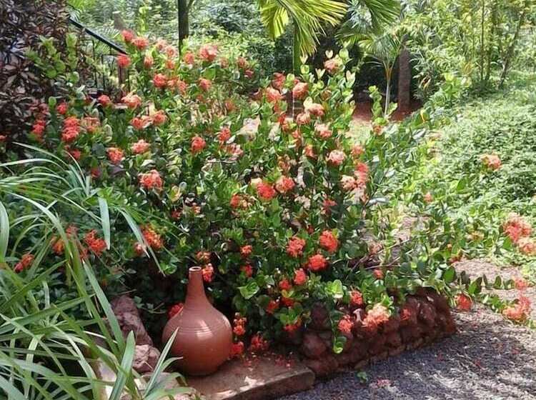 هاستل Inn Pondiville Forest Retreat