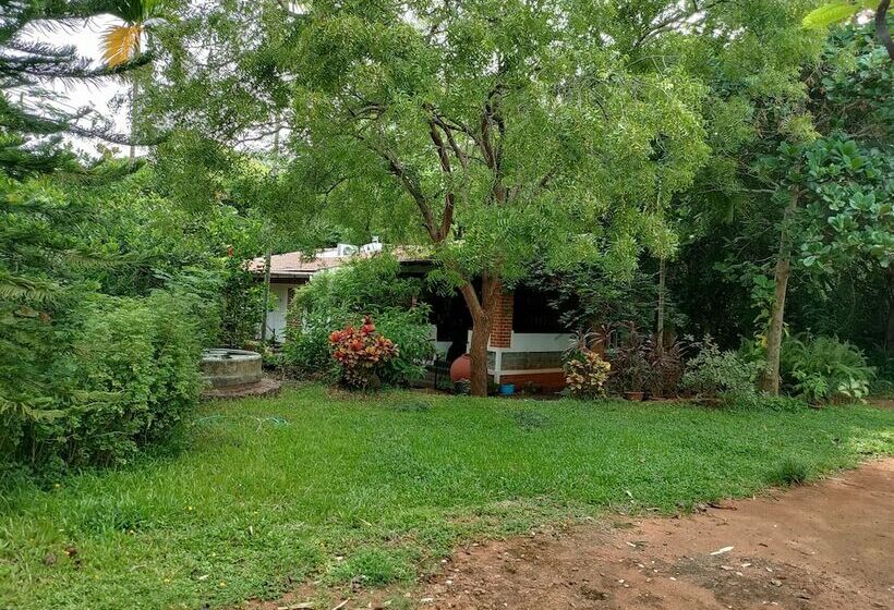 هاستل Inn Pondiville Forest Retreat