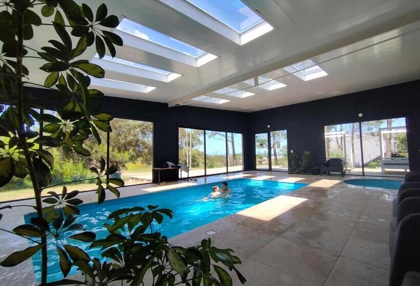 La Bonita Suites Punta Colorada