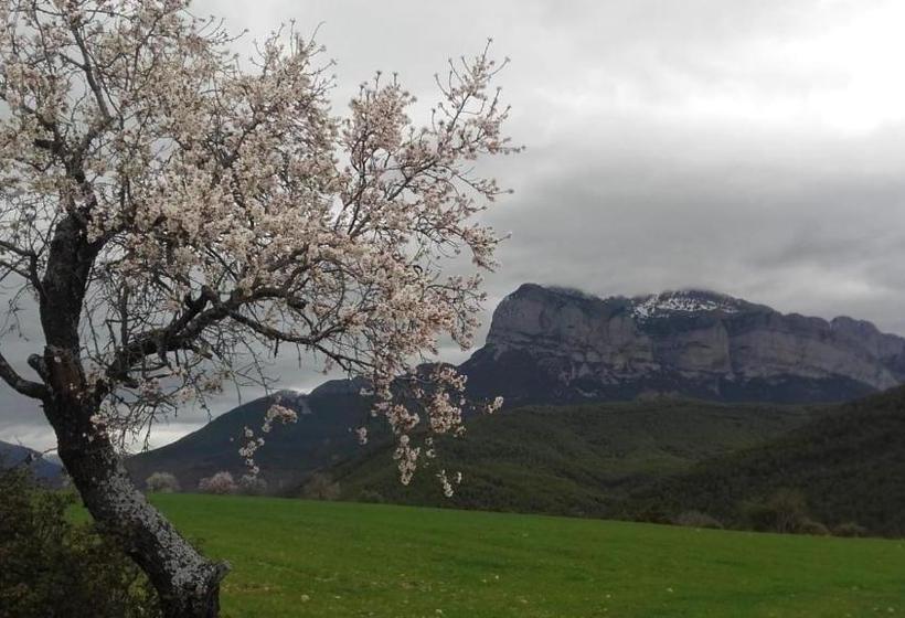 Пансион Fonda Carrera
