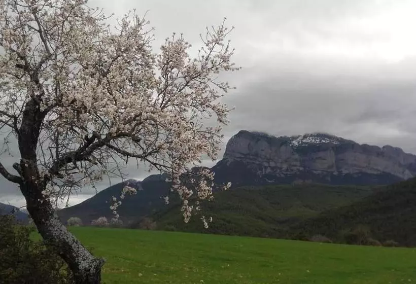 ペンション Fonda Carrera