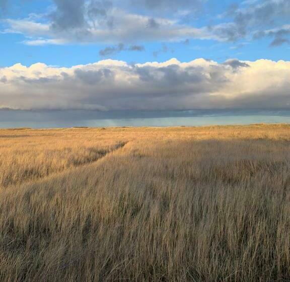 بنسيون Knighton Lodge