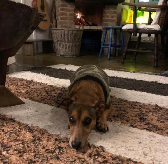 Pension (Hôtel basse catégorie) Pousada Das Meninas