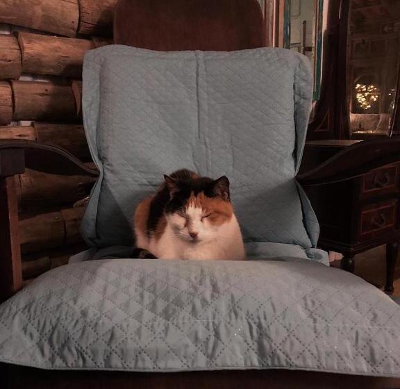 Pension (Hôtel basse catégorie) Pousada Das Meninas