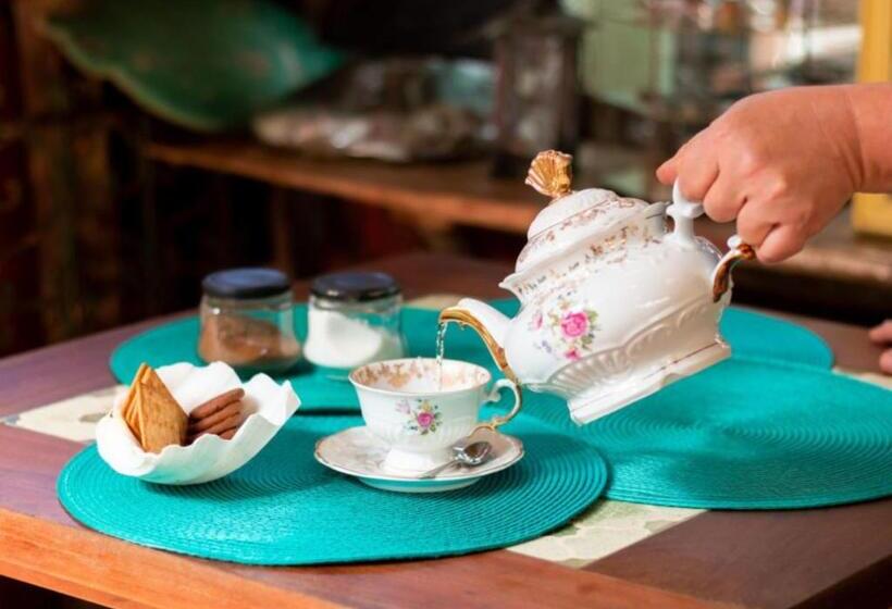 Pension (Hôtel basse catégorie) Pousada Das Meninas