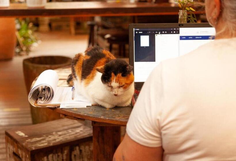 Pension (Hôtel basse catégorie) Pousada Das Meninas