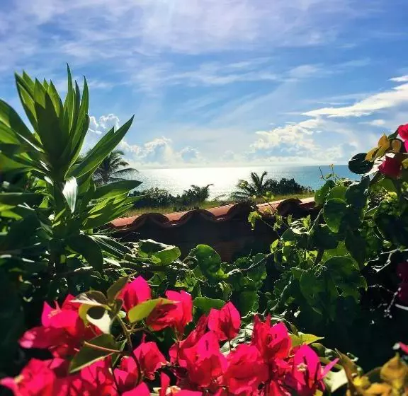 ペンション Pousada Flamboyant Village