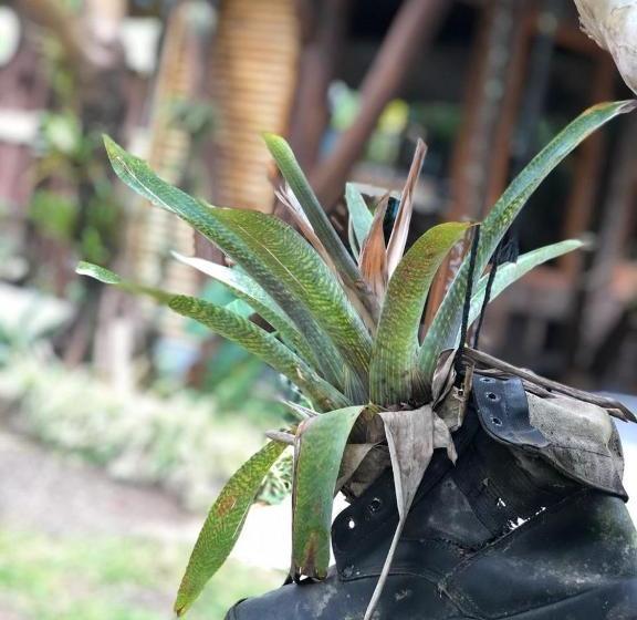 بنسيون Pousada Pacatatu