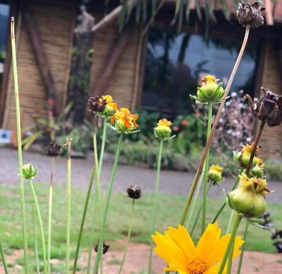 بنسيون Pousada Pacatatu