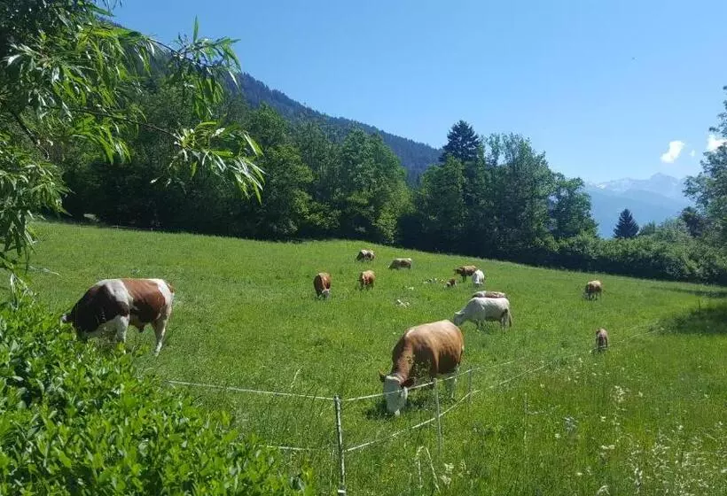 ペンション Haus Hasslacher