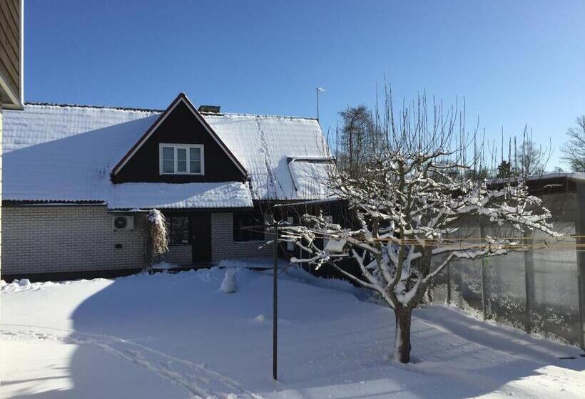 پانسیون Tiigi Accommodation