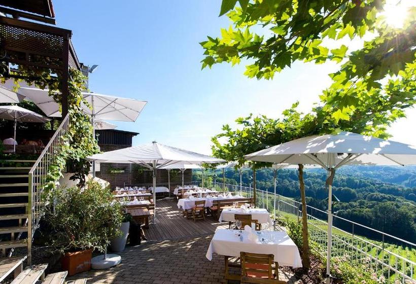 Pensionat Weingut Skoff Original