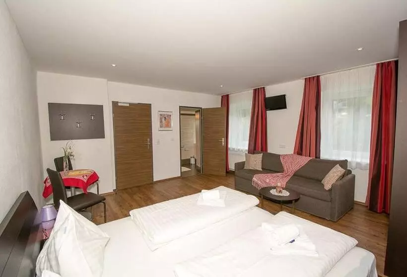 Pension Schizentrum Grosseck   Speiereck