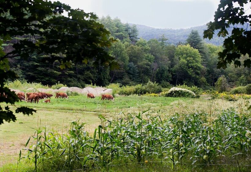 ユースホステル 506 On The River Inn Woodstock